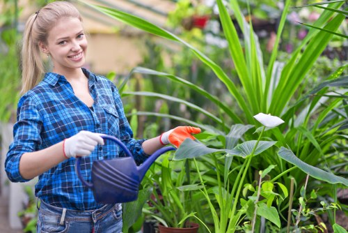 Gardeners Brent Park team presenting a well-kept residential garden