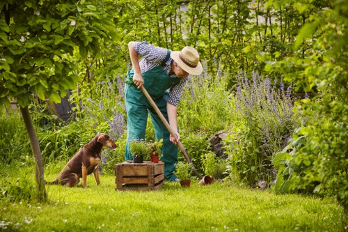 Maintenance pricing example for a suburban garden in Brent Park