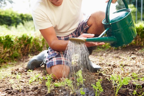 Healthy residential lawn care in Brent Park with neat green grass
