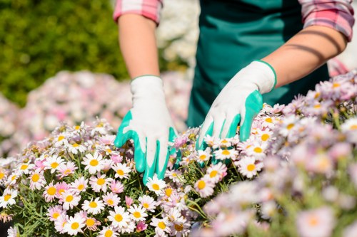 Staff training and public liability insurance for garden work