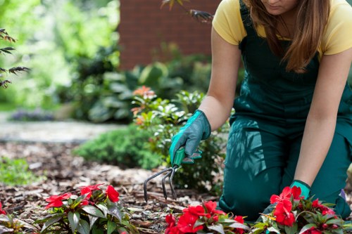 Seasonal grass cutting service for a healthy Brent Park lawn