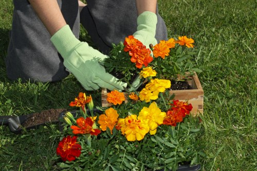 Brent Park lawn service improving patchy grass with overseeding