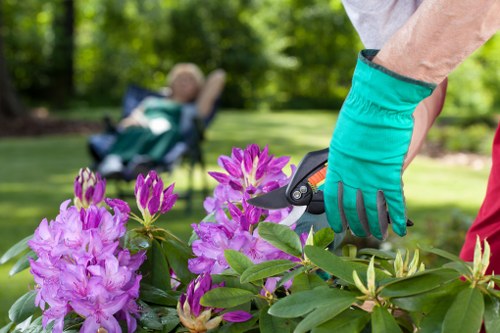 Waste handling and disposal regulations for gardening work