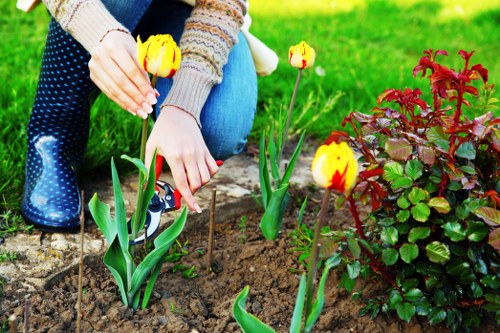 Hard landscaping features in Brent Park garden renovation