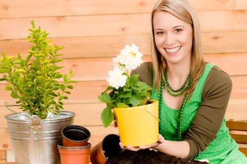 Seasonal gardening services in Brent Park for healthy outdoor spaces