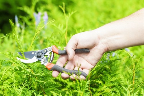 Resolving a gardener service complaint