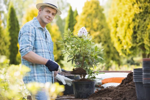 Service cancellation and liability terms