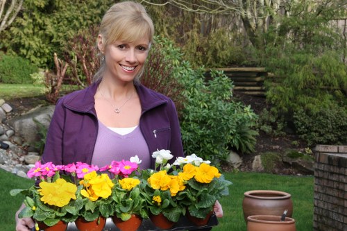 Free quote planning for a larger property garden in Brent Park
