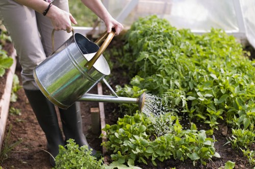 Pruning and hedge care by Gardeners Brent Park